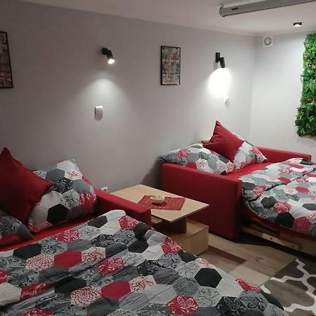 Studio Familly-Nocleg-Zator- Wadowice-Oswiecim-Krakow Bachowice Екстериор снимка