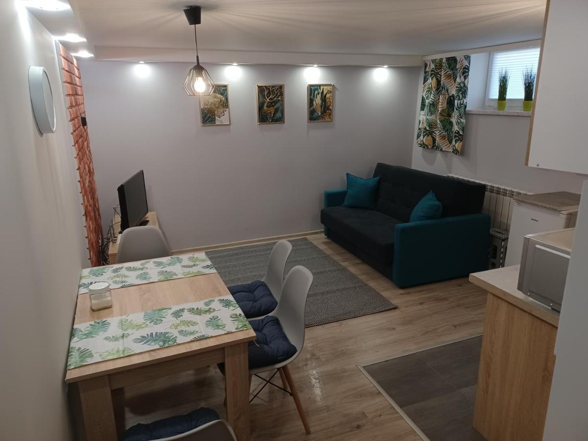 Studio Familly-Nocleg-Zator- Wadowice-Oswiecim-Krakow Bachowice Екстериор снимка