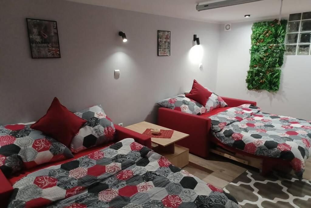 Studio Familly-Nocleg-Zator- Wadowice-Oswiecim-Krakow Bachowice Екстериор снимка